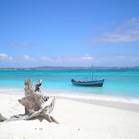 Jumbo Watamu Hotel Kültér fotó